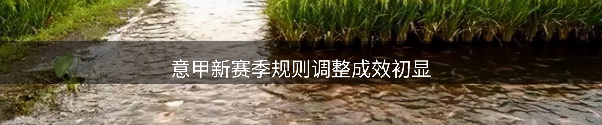 今日资讯